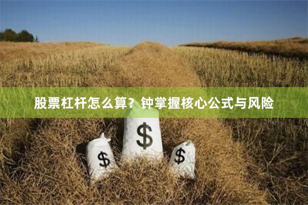股票杠杆怎么算？钟掌握核心公式与风险